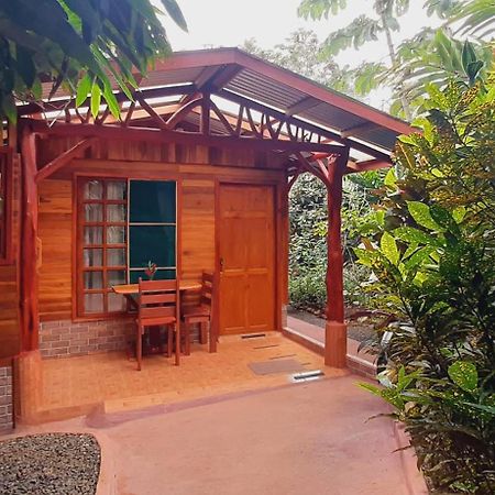 Jardin Entre Montanas Acomodação com café da manhã Bijagua Exterior foto