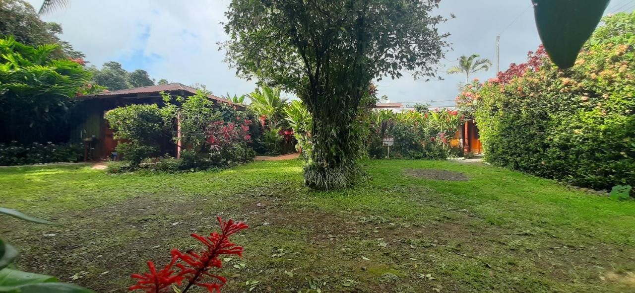 Jardin Entre Montanas Acomodação com café da manhã Bijagua Exterior foto