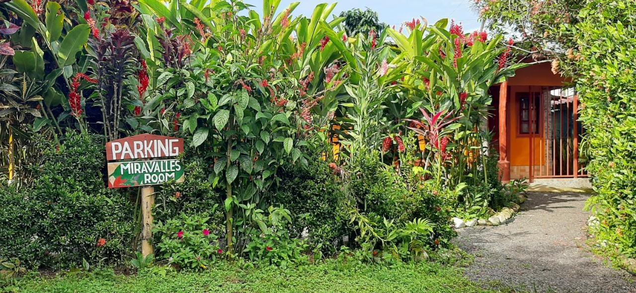 Jardin Entre Montanas Acomodação com café da manhã Bijagua Exterior foto