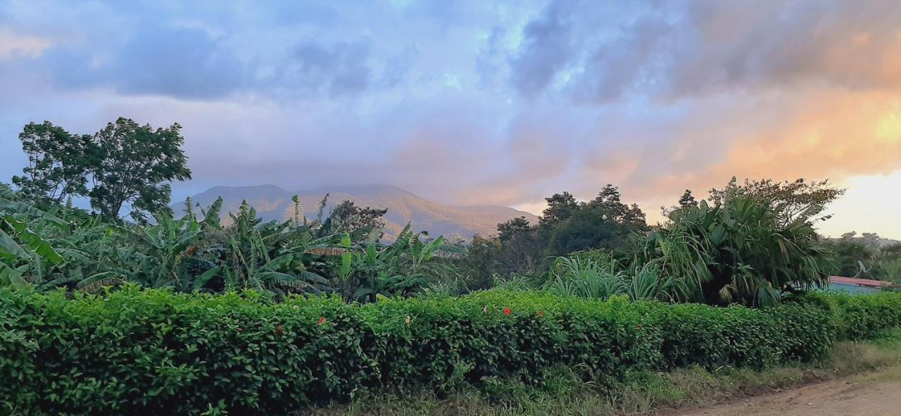 Jardin Entre Montanas Acomodação com café da manhã Bijagua Exterior foto