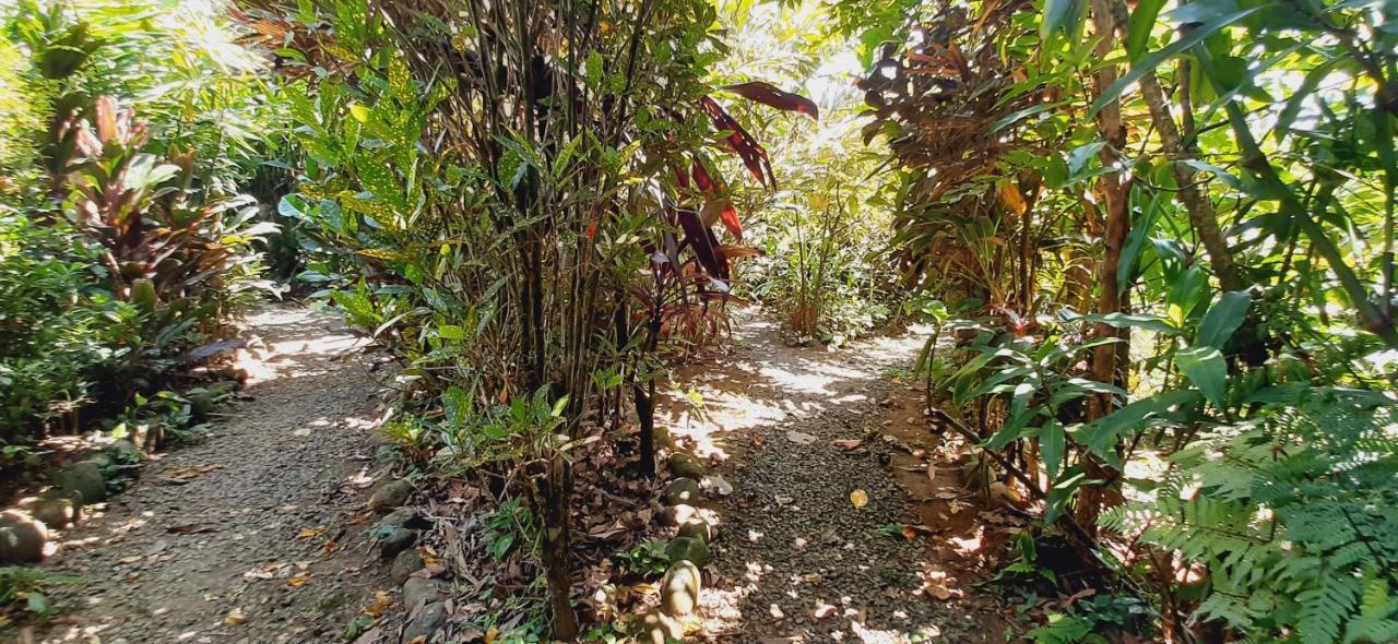 Jardin Entre Montanas Acomodação com café da manhã Bijagua Exterior foto