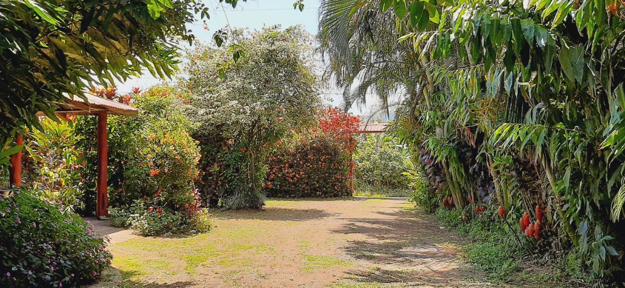 Jardin Entre Montanas Acomodação com café da manhã Bijagua Exterior foto